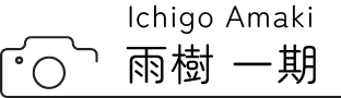 Ichigo Amaki 雨樹一期