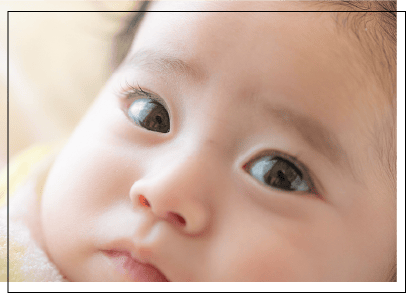 家族写真の作例