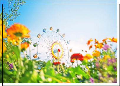 フィルムカメラの作例