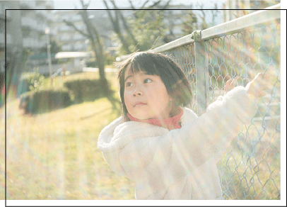 オールドレンズの作例