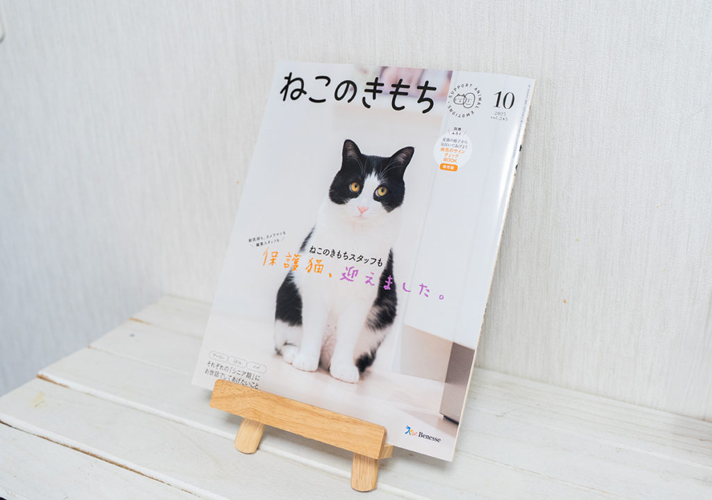 ねこ様確認用ペーシ(^^)！ 念願の『ねこのきもち』初の表紙に！2025年10月号担当しました！ ｜猫