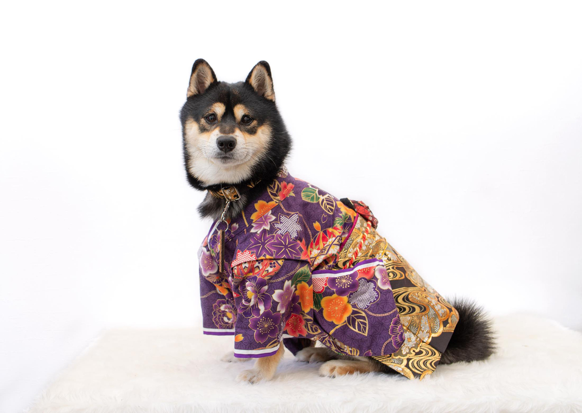 ペットの撮り方